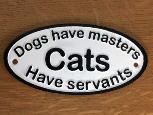 Cats have servants - cats, cast
