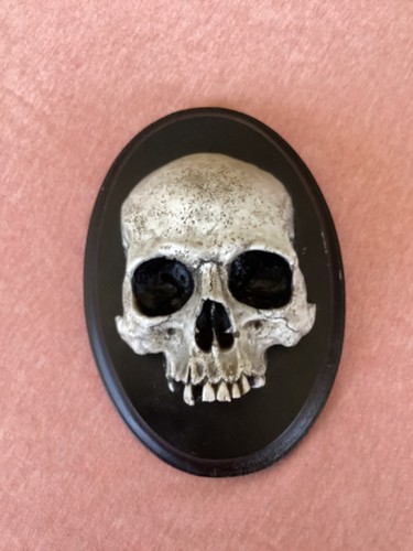 The skull shoppe 2018 - skull,